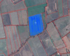 For Sale Land 41,266 sqm in Pho Prathap Chang, Phichit, Thailand