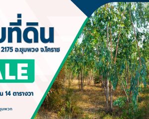 For Sale Land in Chum Phuang, Nakhon Ratchasima, Thailand