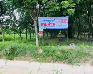 For Sale Land 8,000 sqm in Ban Kruat, Buriram, Thailand
