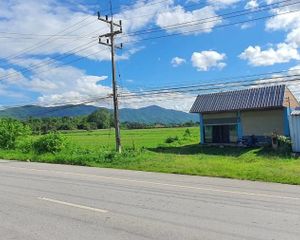 For Sale Land 2,456 sqm in Mae Chan, Chiang Rai, Thailand
