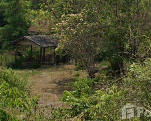 For Sale Land 19,704 sqm in Thoen, Lampang, Thailand