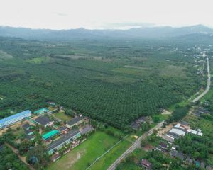 For Sale Land 163,200 sqm in Kapoe, Ranong, Thailand