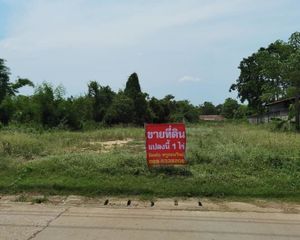 For Sale Land 1,600 sqm in Si Satchanalai, Sukhothai, Thailand