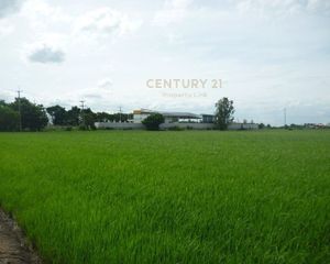 For Sale Land 42,084 sqm in Sena, Phra Nakhon Si Ayutthaya, Thailand
