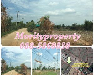 For Sale Land 6,700 sqm in Loeng Nok Tha, Yasothon, Thailand