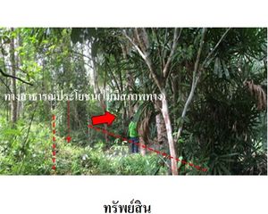 For Sale Land 4,852 sqm in Kapho, Pattani, Thailand