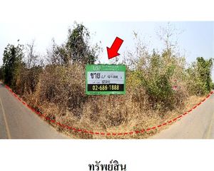 For Sale Land 1,872 sqm in Ban Hong, Lamphun, Thailand