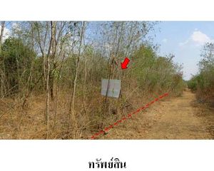 For Sale Land 3,708 sqm in Bueng Sam Phan, Phetchabun, Thailand