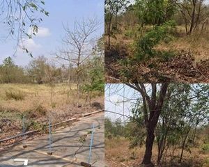 For Sale or Rent Land 1,648 sqm in Bang Nam Priao, Chachoengsao, Thailand
