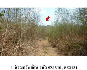 For Sale Land 4,000 sqm in Bueng Sam Phan, Phetchabun, Thailand
