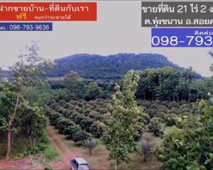 For Sale Land 34,440 sqm in Soi Dao, Chanthaburi, Thailand