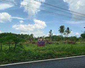 For Sale Land 10,156 sqm in Mueang Nakhon Si Thammarat, Nakhon Si Thammarat, Thailand