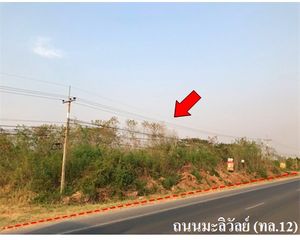 For Sale Land 25,392 sqm in Chum Phae, Khon Kaen, Thailand