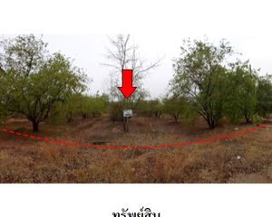 For Sale Land 7,204 sqm in Chon Daen, Phetchabun, Thailand