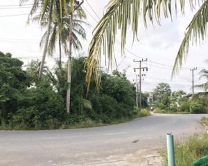 For Sale Land 316 sqm in Thalang, Phuket, Thailand