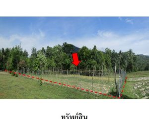 For Sale Land 3,520 sqm in Kapho, Pattani, Thailand