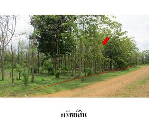 For Sale Land 3,120 sqm in Ban Hong, Lamphun, Thailand
