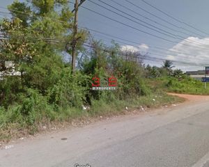 For Rent Land 24,000 sqm in Kanchanadit, Surat Thani, Thailand