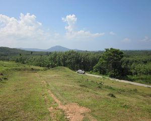For Sale Land 9,988 sqm in Thalang, Phuket, Thailand