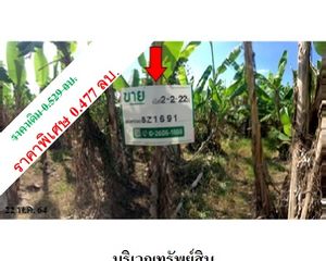 For Sale Land 4,088 sqm in Si Samrong, Sukhothai, Thailand