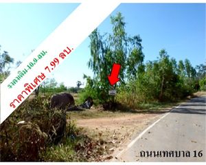 For Sale Land 50,058.4 sqm in Kham Khuean Kaeo, Yasothon, Thailand