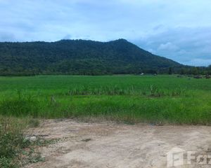 For Sale Land 95,448 sqm in Si Satchanalai, Sukhothai, Thailand