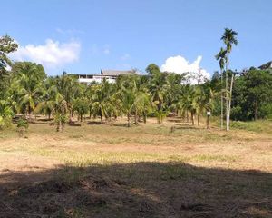 For Sale Land 9,564 sqm in Thalang, Phuket, Thailand
