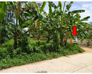 For Sale Land 4,248 sqm in Sathing Phra, Songkhla, Thailand
