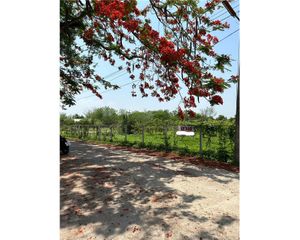 For Sale Land 3,224 sqm in Pa Sang, Lamphun, Thailand