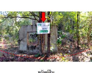 For Sale Land 260 sqm in Phibun Mangsahan, Ubon Ratchathani, Thailand