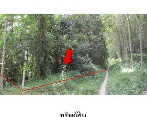 For Sale Land 6,800 sqm in Kapho, Pattani, Thailand