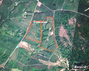 For Sale Land 378,196 sqm in Phon Charoen, Bueng Kan, Thailand