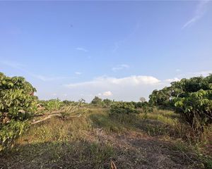 For Sale Land 9,600 sqm in Mueang Lamphun, Lamphun, Thailand