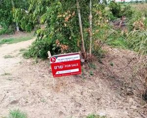 For Sale Land 32,800 sqm in Mueang Uthai Thani, Uthai Thani, Thailand