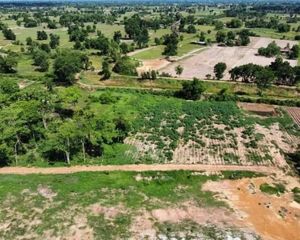 For Sale Land 2,808 sqm in Nong Mamong, Chainat, Thailand