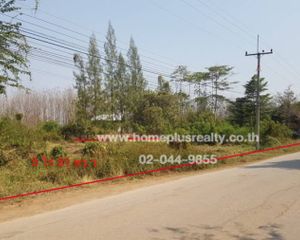 For Sale Land 8,324 sqm in Lom Kao, Phetchabun, Thailand