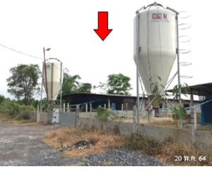 For Sale Warehouse 20,208 sqm in Tap Khlo, Phichit, Thailand