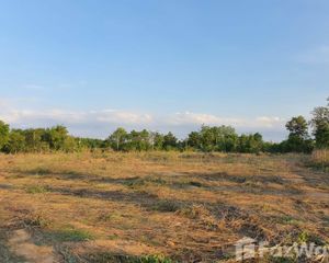 For Sale Land 1,600 sqm in Phen, Udon Thani, Thailand