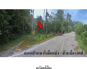 For Sale Land 2,360 sqm in Kapho, Pattani, Thailand