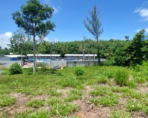 For Sale Land 16,000 sqm in Thalang, Phuket, Thailand