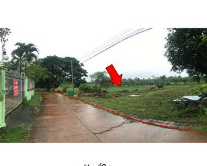 For Sale Land 12,248 sqm in Seka, Bueng Kan, Thailand