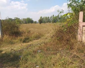 For Sale Land 18,948 sqm in Nong Kung Si, Kalasin, Thailand