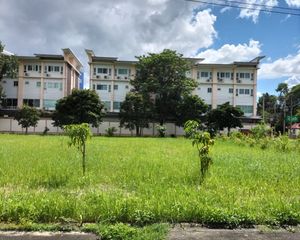 For Sale Land 430 sqm in Mueang Chiang Mai, Chiang Mai, Thailand