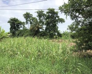 For Sale Land 16,000 sqm in Mueang Chachoengsao, Chachoengsao, Thailand