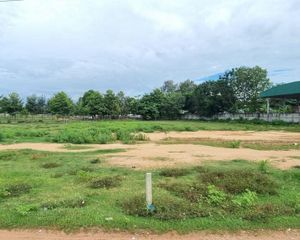 For Sale Land 800 sqm in Bang Lamung, Chonburi, Thailand