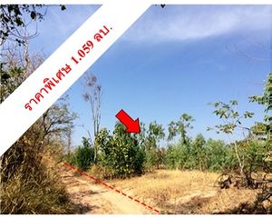 For Sale Land 17,480 sqm in Mueang Chaiyaphum, Chaiyaphum, Thailand