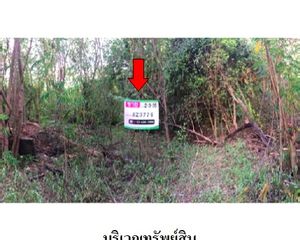 For Sale Land 4,540 sqm in Mueang Lampang, Lampang, Thailand