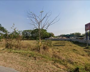 For Sale Land 5,632 sqm in San Kamphaeng, Chiang Mai, Thailand