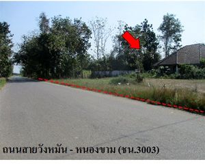 For Sale House 4,123.2 sqm in Nong Mamong, Chainat, Thailand