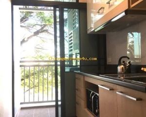 For Rent 1 Bed Condo in San Sai, Chiang Mai, Thailand